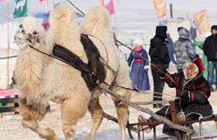 ���ױ�����ԭ���ѩ�Ǵ�Ľ��