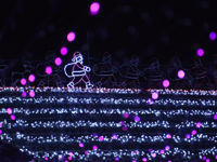 �Ĵ�����50��ֻ��ͥʥ���ʵƴ���¼��