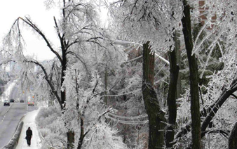 ���ô�������ֺ�Ϯ�� ��ľ����������Ө������