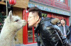 �̼ҽ衰�������ޡ��������͡�