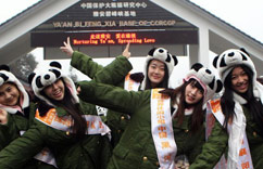 ����������С�㡱̽�ô���è��