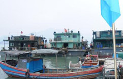 �����������β�ɰ����