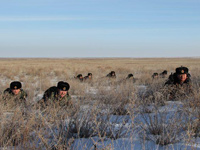 �½��߷������������ȶ���