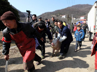 ����������ϲӭ�������������ꡱ