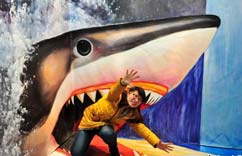 ����3Dħ�����硱