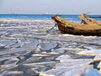 ɽ����������ֺ�����