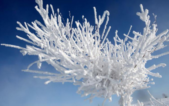 �½����ͺ��ذ�ѩ���������������˶�����