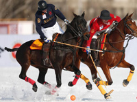 ѩ���������籭��