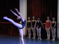 ���ɹ�������2014������������רҵ������ʼ��