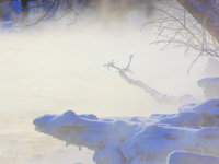 �½����ͺӶ���������������