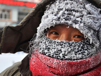 ����40���϶ȵ����ɹź��ױ�����