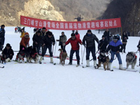 ���Ͼٰ���ﻬѩ����