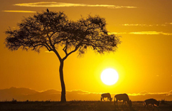 �����ҵ�����չ������ƽ�ʱ�̡�