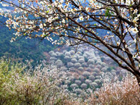 ������̩��Ķ��÷���躮ŭ�š�