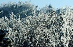 �㽭�����ֱ��⾰�ۡ�