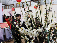 ���Ͼٰ조��֮�ϡ����ڻ�չ��