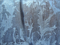 �����ֱ������ۡ�