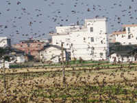 �����촨ũ�����������׳�۾���