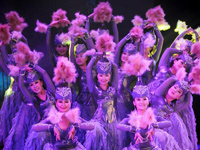 ����Լ��������̩����