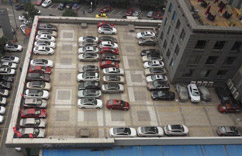 �����֡�����ͣ��������ʽ��ĸ��