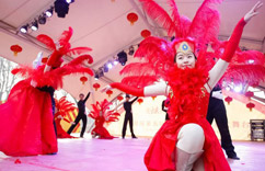 Բ��԰�ʼ������ݳ����š�