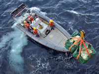 �й�������ʮ����������ӻ�ο�ʲ������ʡ�