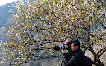 ������̩����Ķ÷�ֻ����ޡ�