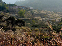 ������Ķ÷�ֻ����ޡ�