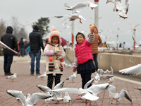 �����ǡ�����������¡�