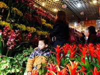 ���ڽ��� �Ϻ���������������һƬ��