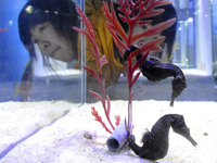 ���ϴ������������͸���ӭ���ꡱ