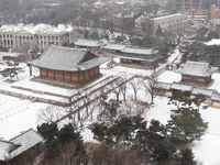 �����׶�ӭ�������ѩ��