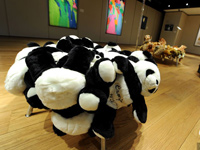 ���չ��Ȥζ����è�Ρ���