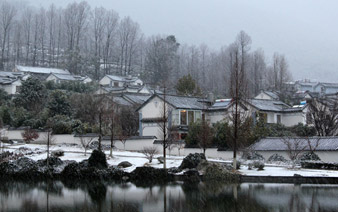 �Ϲ�������ӭ��ѩ��