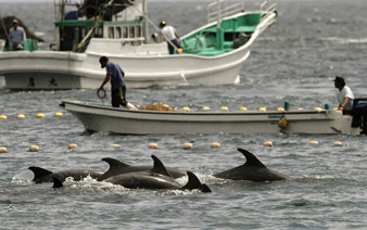 �ձ�̫���������ɱ��������ޱȡ�