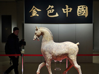 �Ͼ�����Ժ�ٰ������ﾫƷչ��