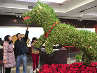 ���ϴ�������ˮ����������ӭ���ꡱ