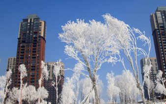 ����ʡ�������ɻ����ϳ�����ڡ������