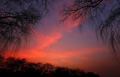 �����Ƕ�����ϼ���ˡ�