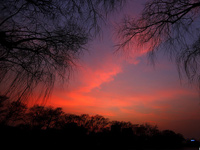 �����Ƕ�����ϼ���ˡ�