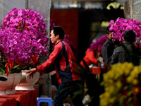 �����ٽ� ���ݻ������塱