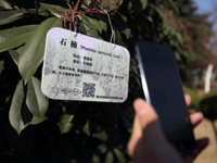 ���պϷ���ľ����ά�롰����֤����