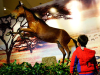 �Ϻ��Ƽ��ݾٰ조����ʢ׳��������Фչ��