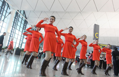 �������ɻ����ս����ݡ���������