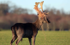 ��¹��Χ�����Ҵ����췢����