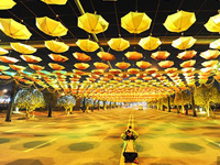 2014��ɳ÷Ϫ�����ʵƹ��������