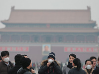 �������������족