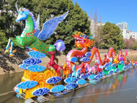 ���������ʴ�����������