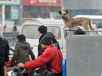 ��ǰ������ֳԽ� ���Ա���Ű�Ȯ�Ϳ����