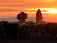 �½��������»�������ת����